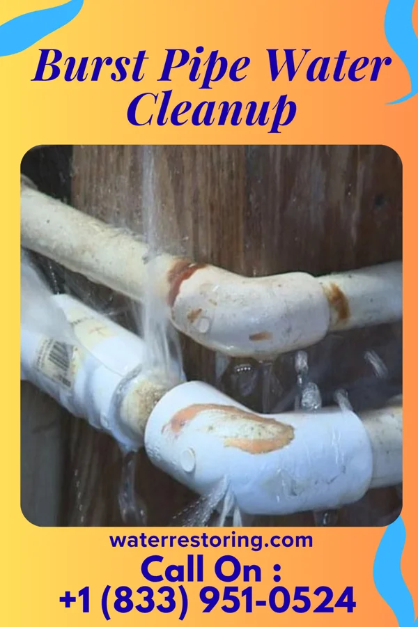 Burst Pipe Water Cleanup in Rouseville, PA