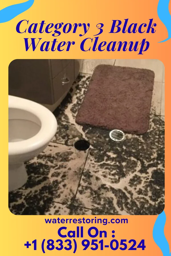 Category 3 Black Water Cleanup in Rouseville, PA