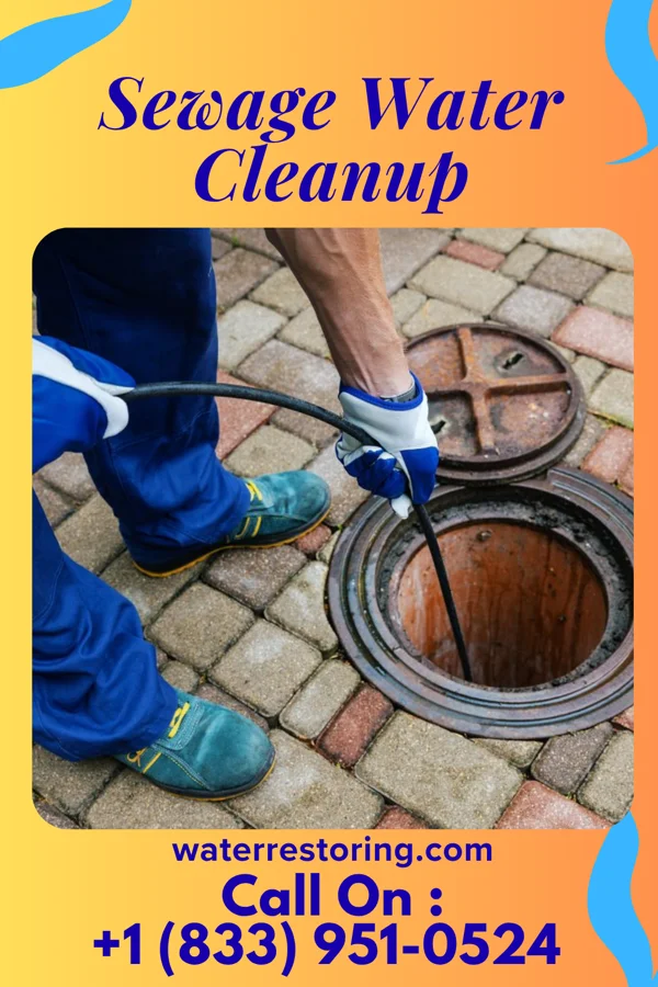 Sewage Water Cleanup in Rouseville, PA